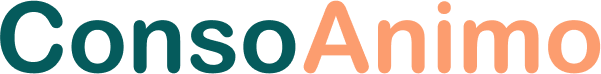 Développement Custom APP - Consoanimo