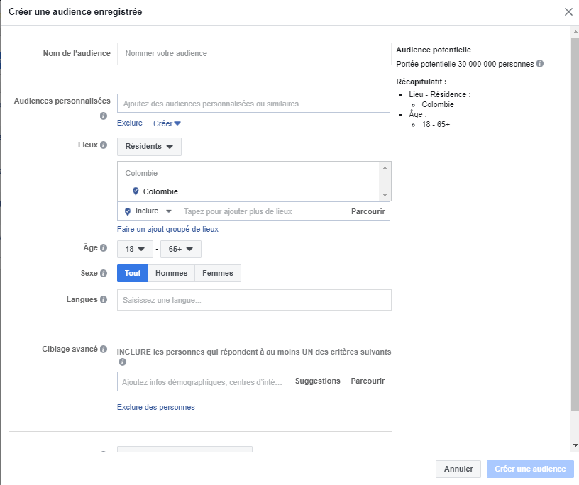 Créer publicité Facebook audience enregistree