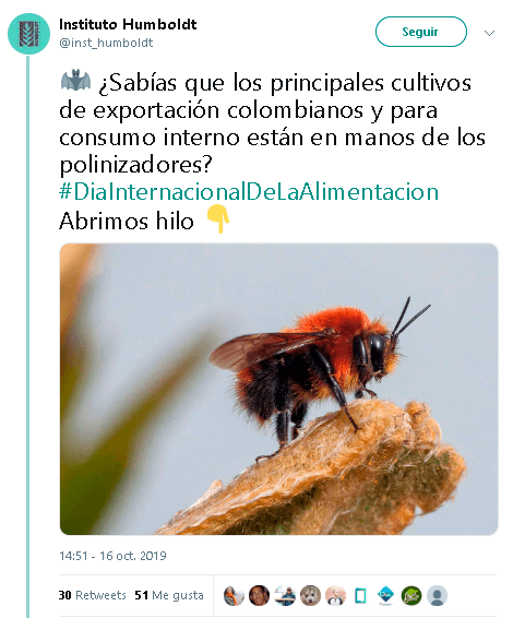 Participación con captions atractivos