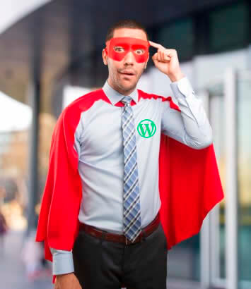 plugins wordpress - Superhero