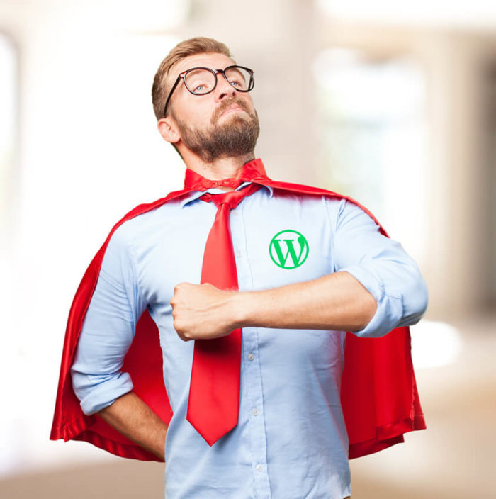 plugins wordpress - Superhero